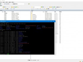 【精品软件】替代SecureCRT+SecureFX的软件WinSCP+PuTTY